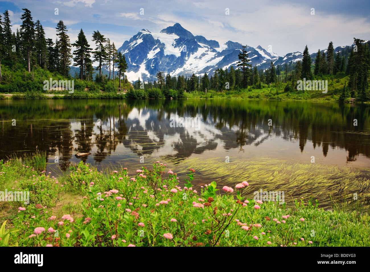 Mount Shuksan in reflection in Picture Lake, Washington State, USA Stock Photo