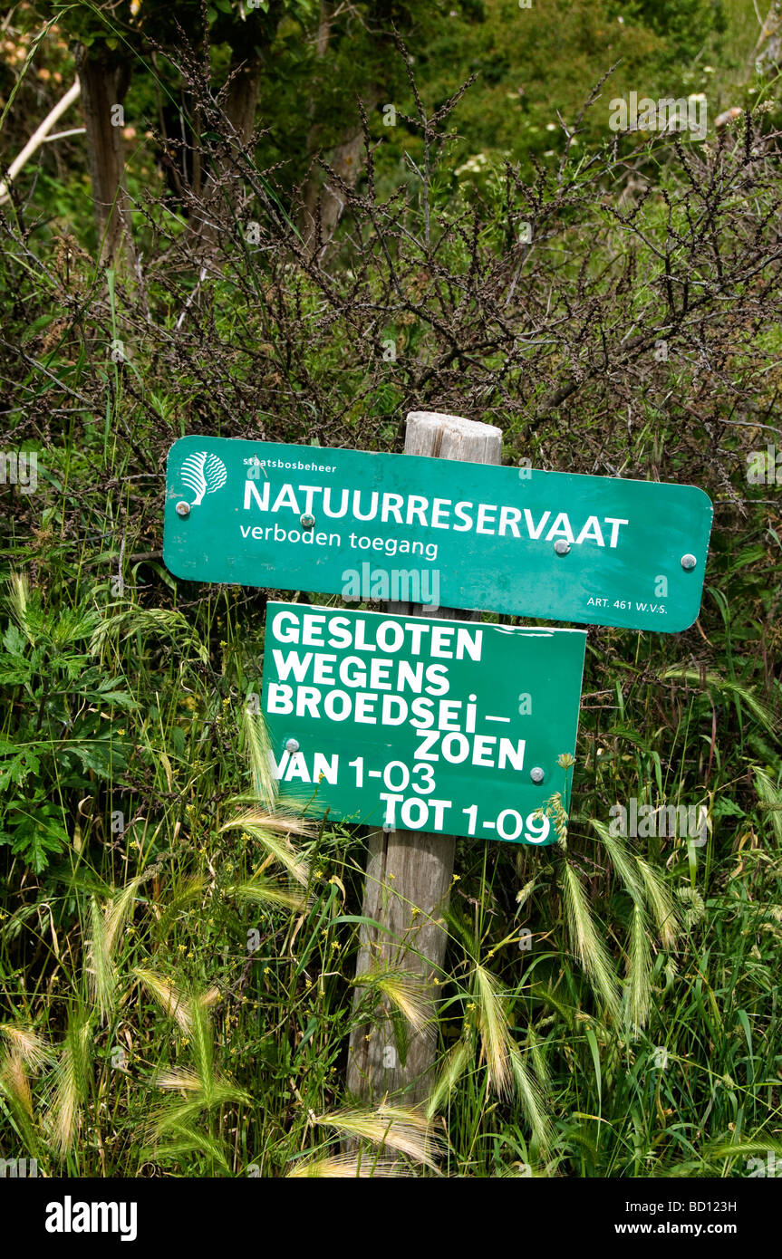 Natuurreseservaat nature reserve bird birds  Holland Netherlands Stock Photo
