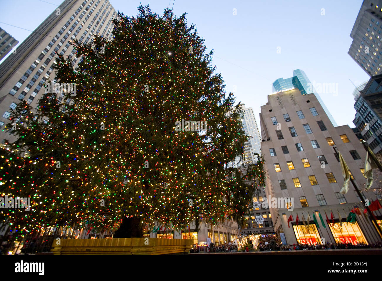 The Christmas Tree at Rockefeller Center Stock Image