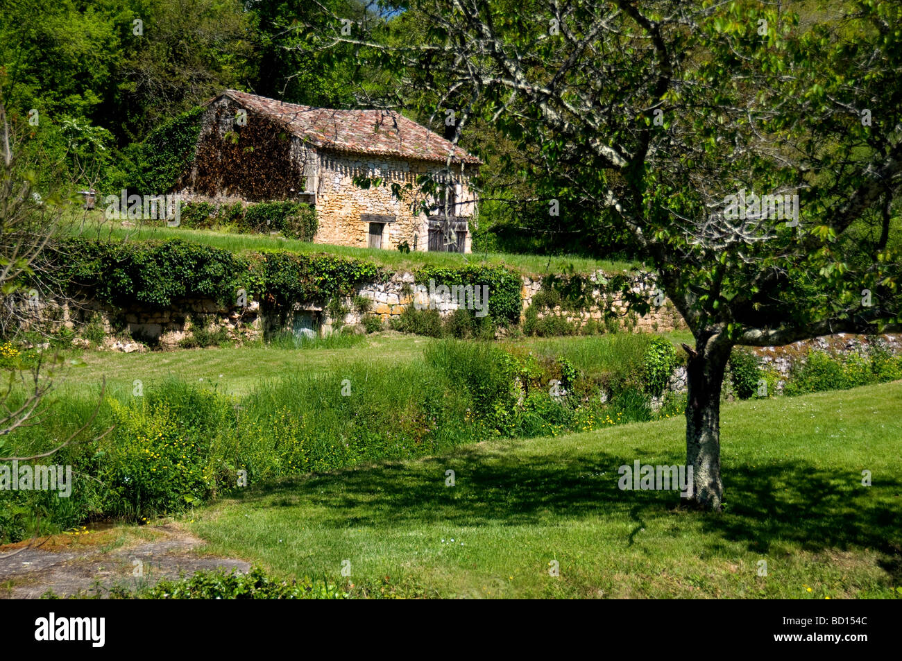 country home Stock Photo