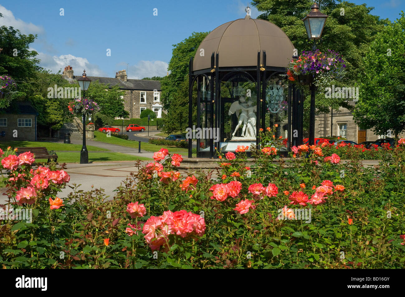 Roses in rose garden and the Festival Pavilion in summer Crescent Road
