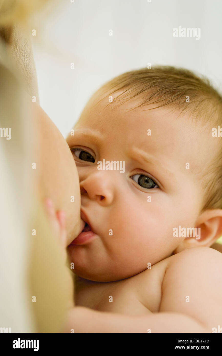 Baby breastfeeding, close-up Stock Photo