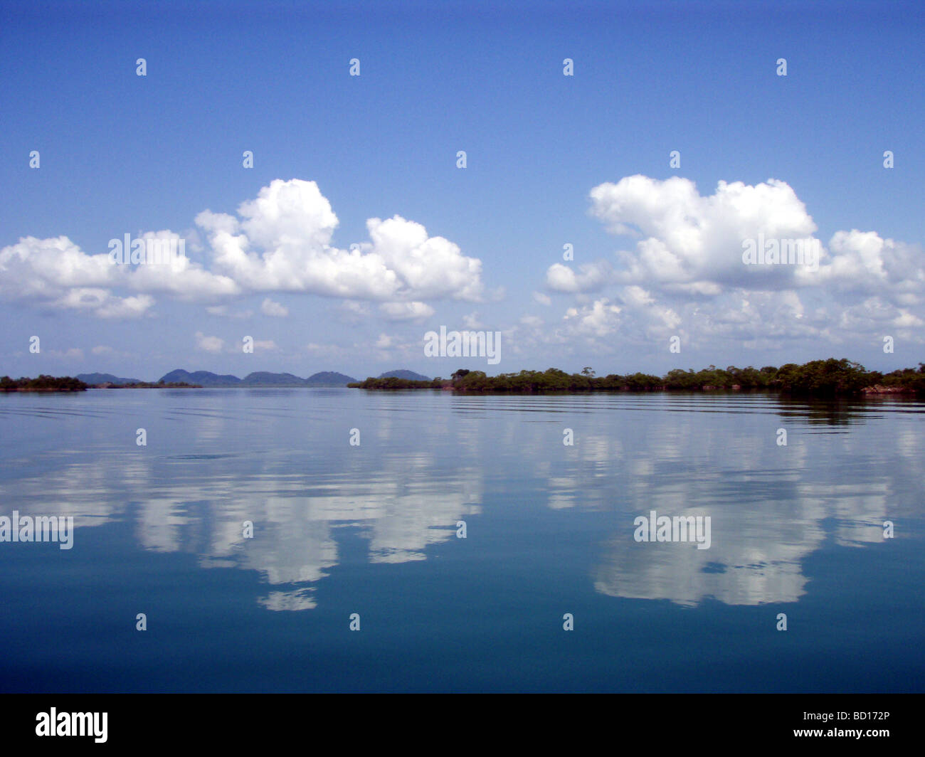 Port Honduras Marine Reserve, Toledo District, Belize Stock Photo