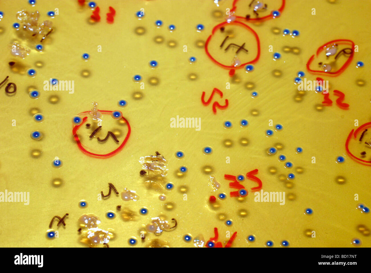 Gm X High Resolution Stock Photography And Images Page 2 Alamy