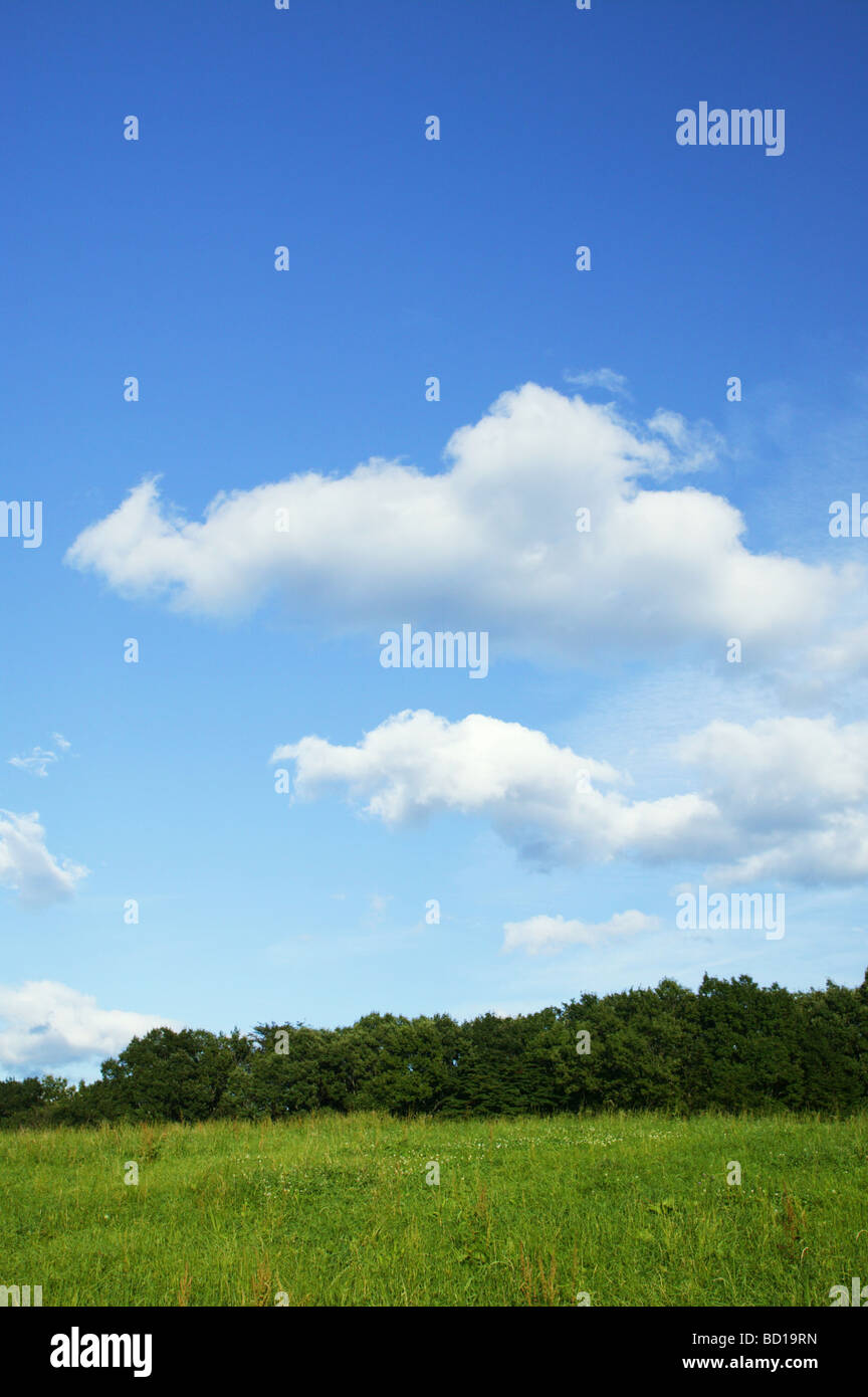 Field under blue sky Stock Photo - Alamy