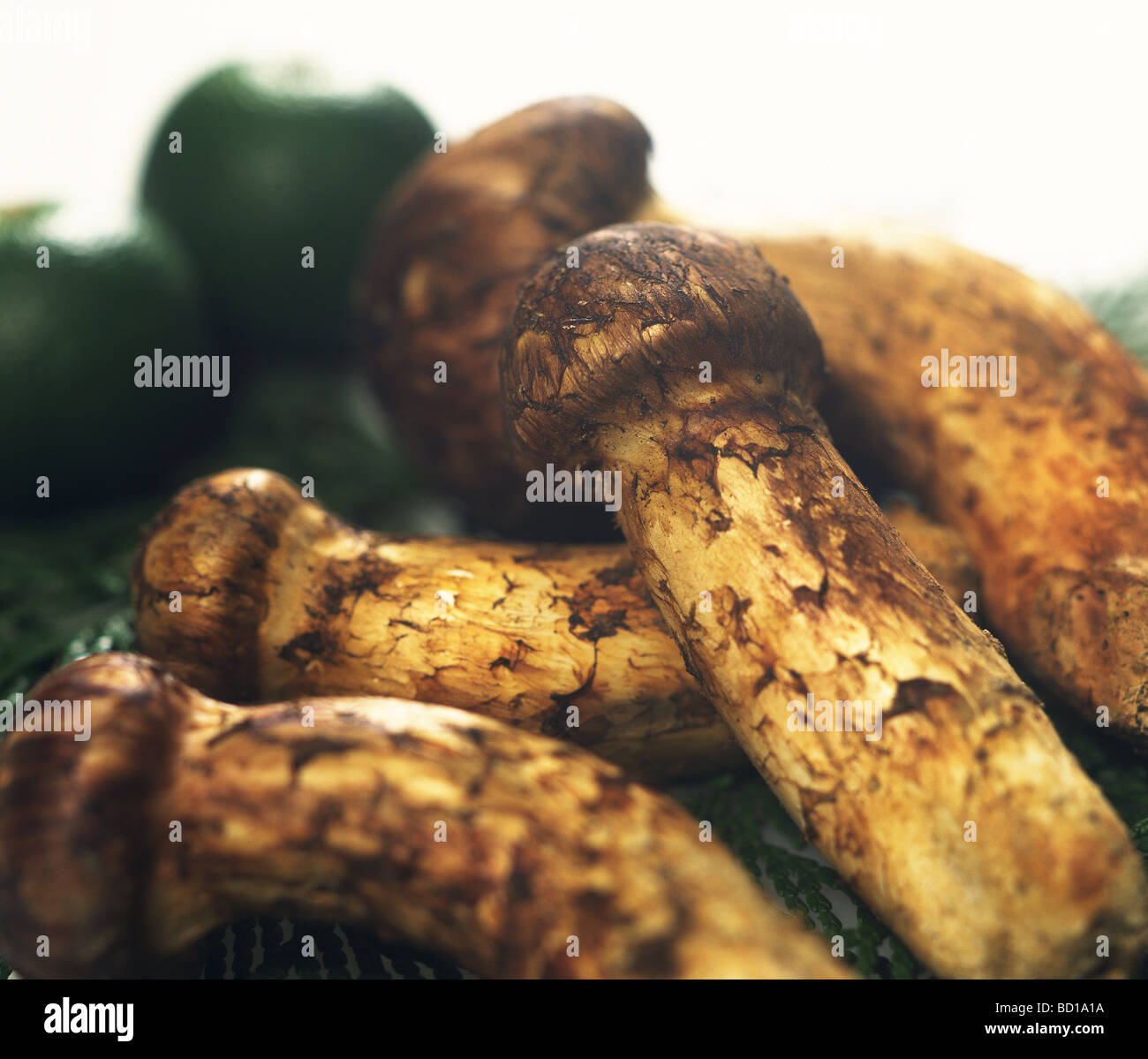 Matsutake food hires stock photography and images Alamy
