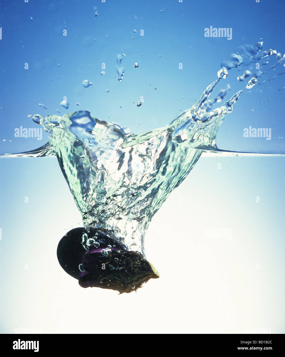 Eggplant dropped in water white background Stock Photo Alamy