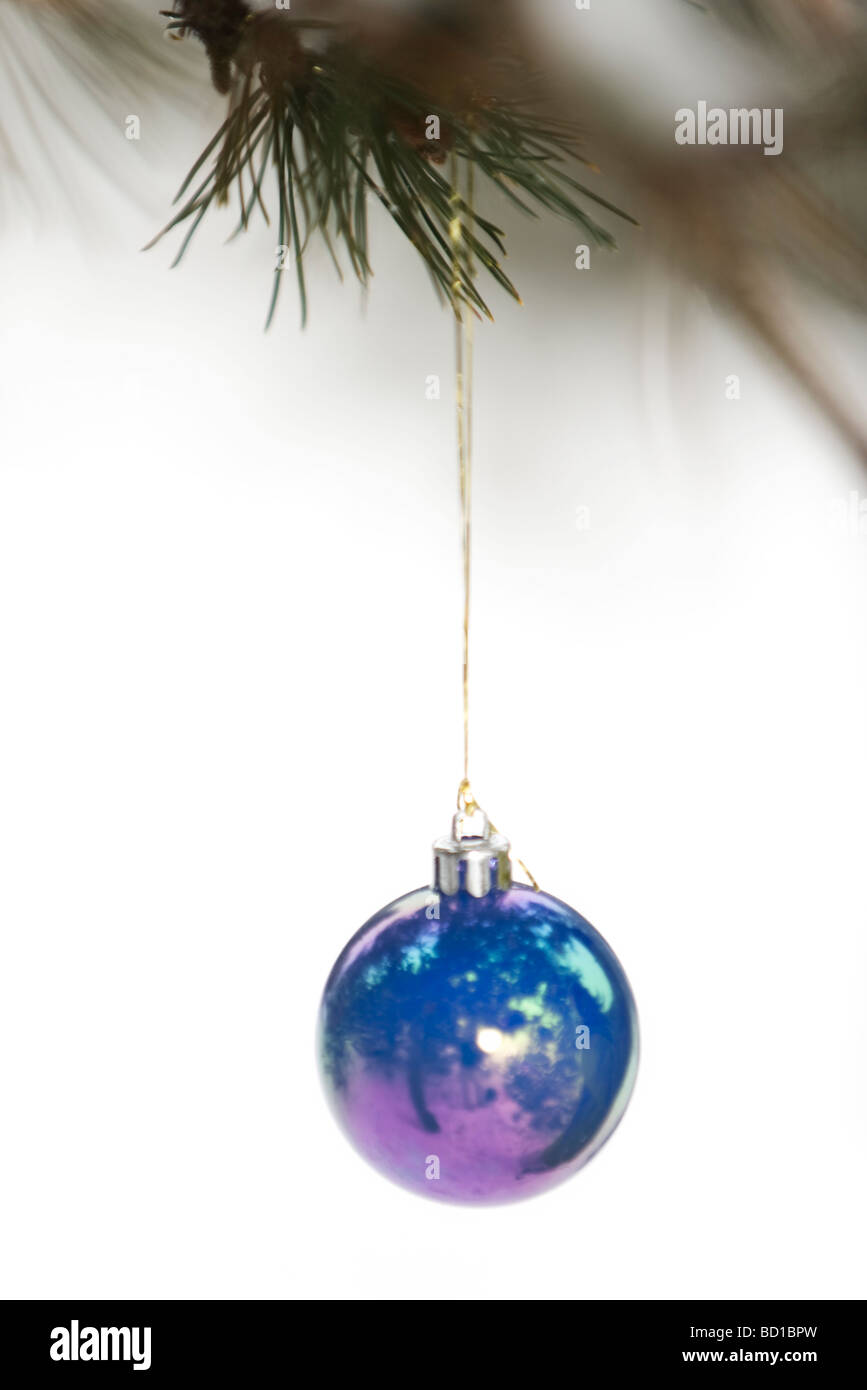 Solitary blue Christmas ornament hanging from tree branch Stock Photo ...