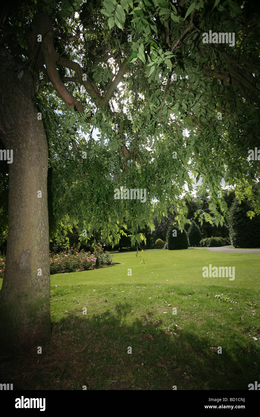 Maxwell Park, Glasgow Stock Photo Alamy