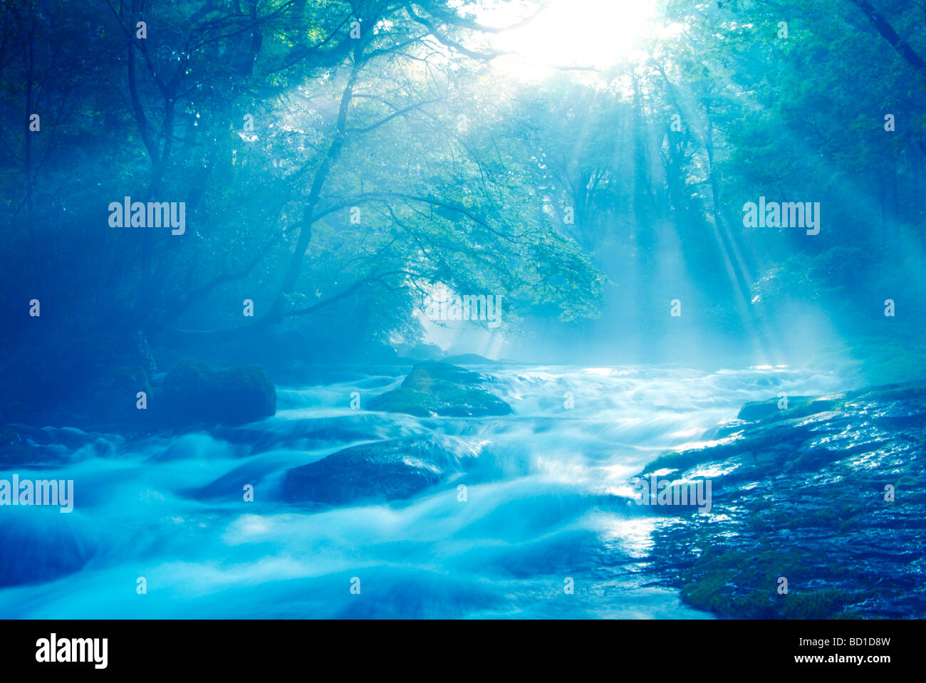 River stream in morning Stock Photo - Alamy