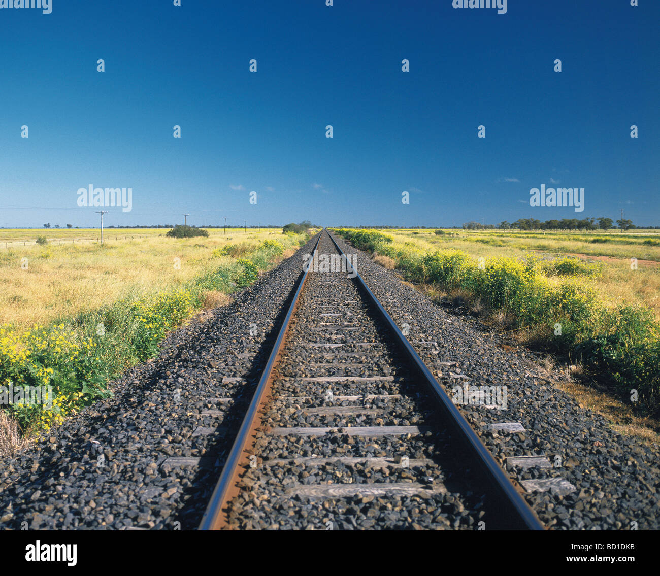 Railroad track Australia Stock Photo