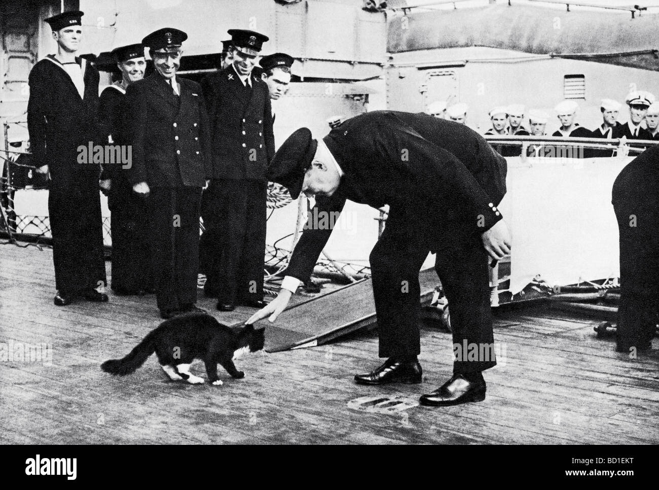 WINSTON CHURCHILL meets ship's cat Blackie on HMS Prince of Wales in 1941 on his way to meet President Roosevelt in Newfoundland Stock Photo