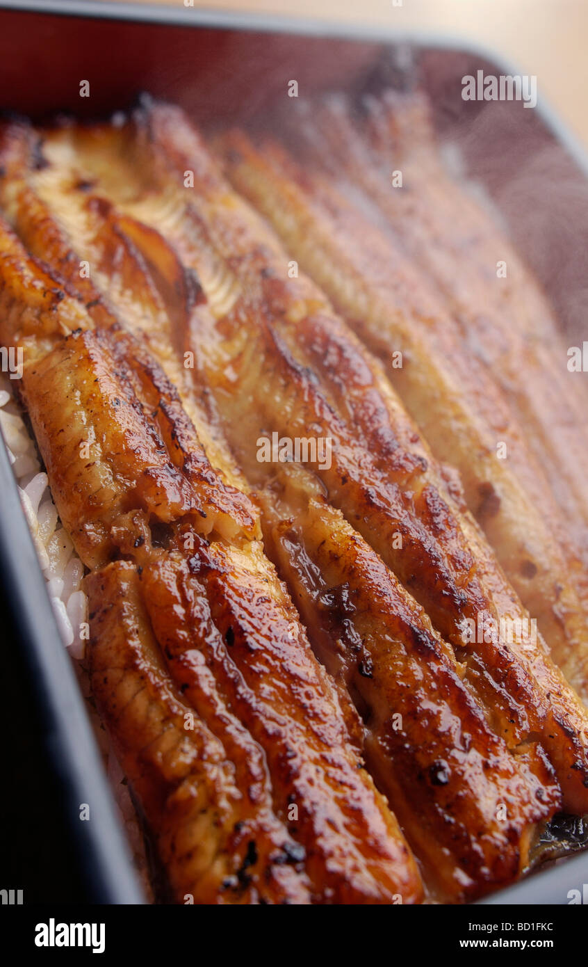 Broiled eel on rice in box close up Stock Photo Alamy