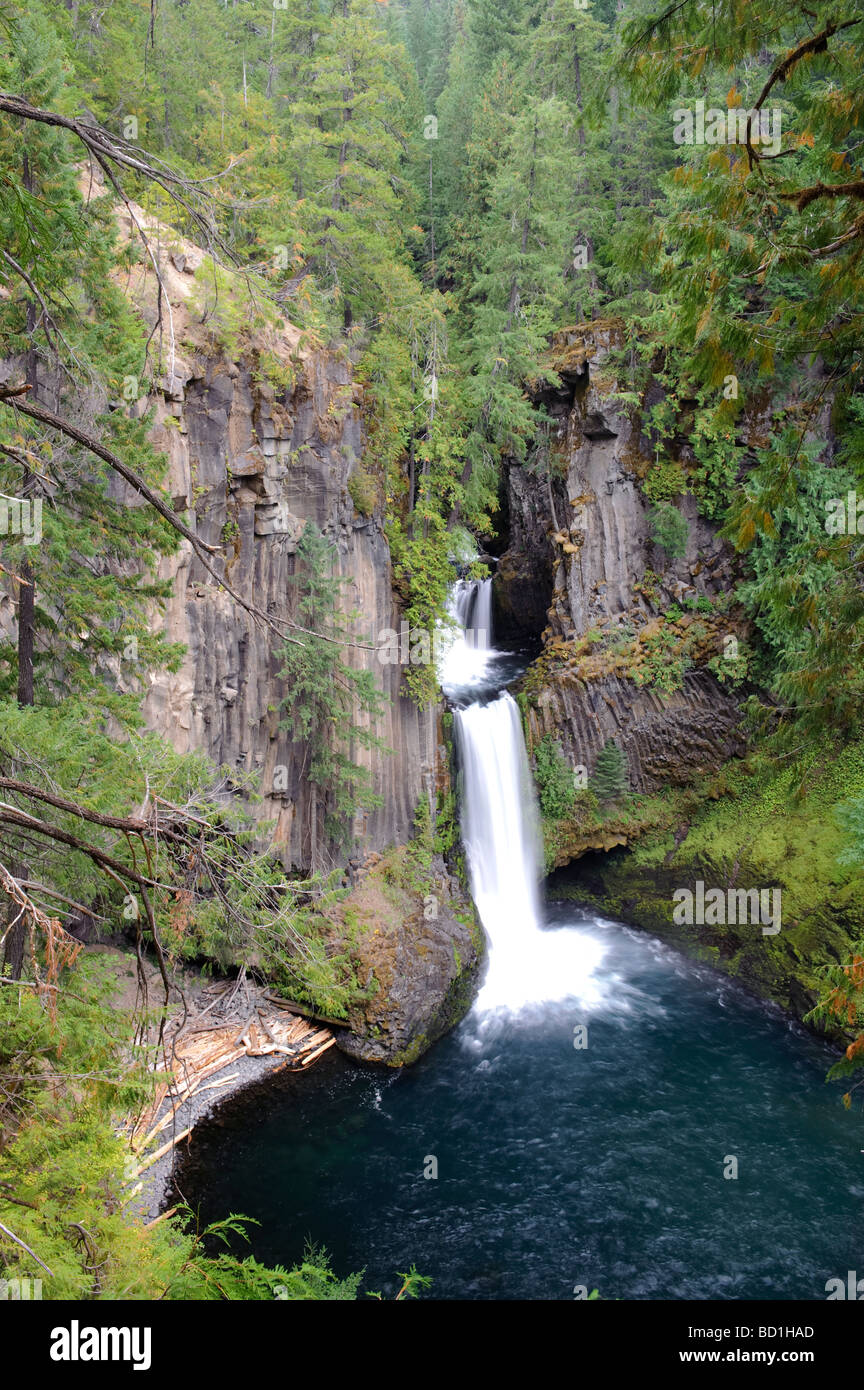 USA Oregon Toketee Falls Stock Photo
