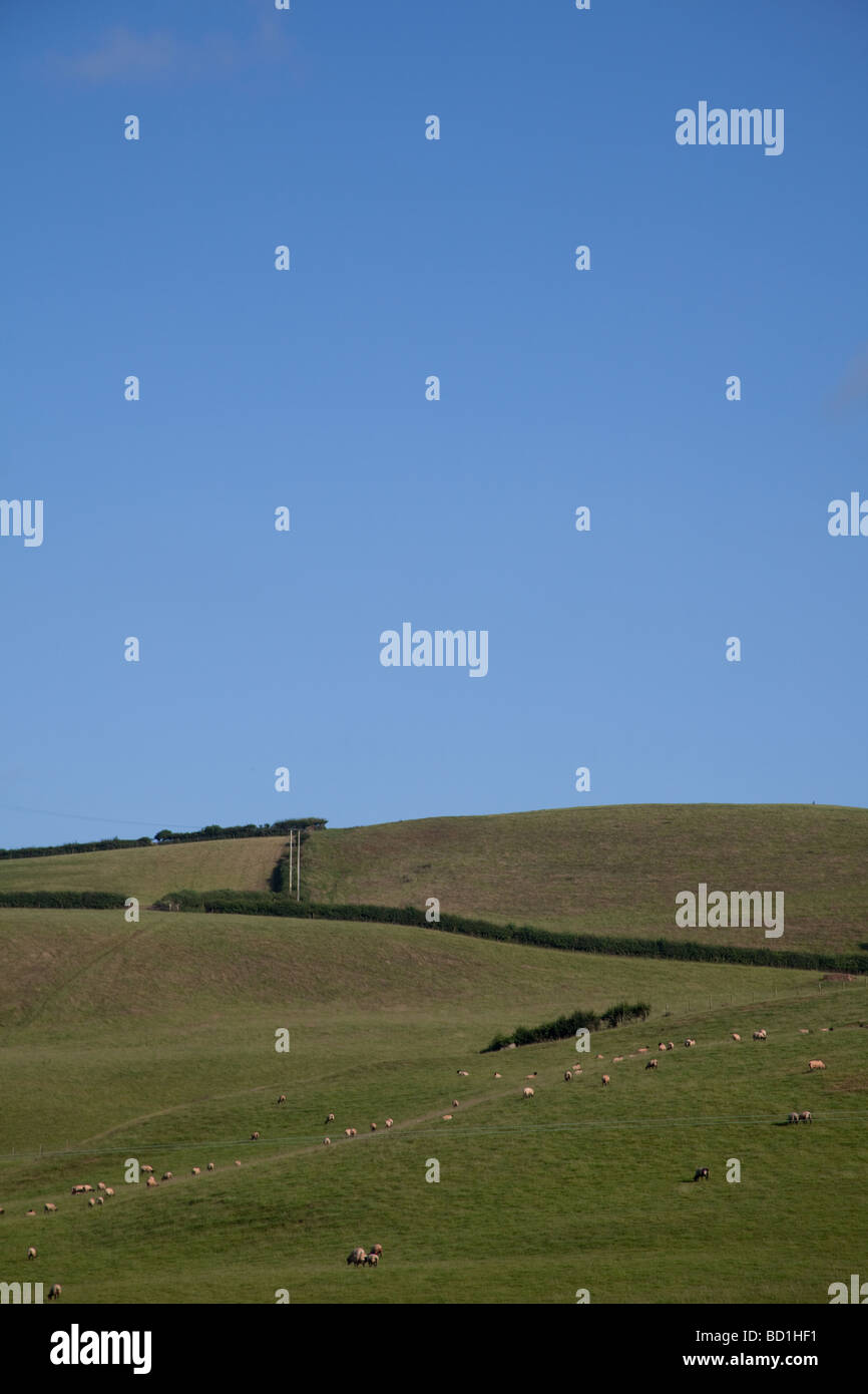 Rolling countryside hi-res stock photography and images - Alamy