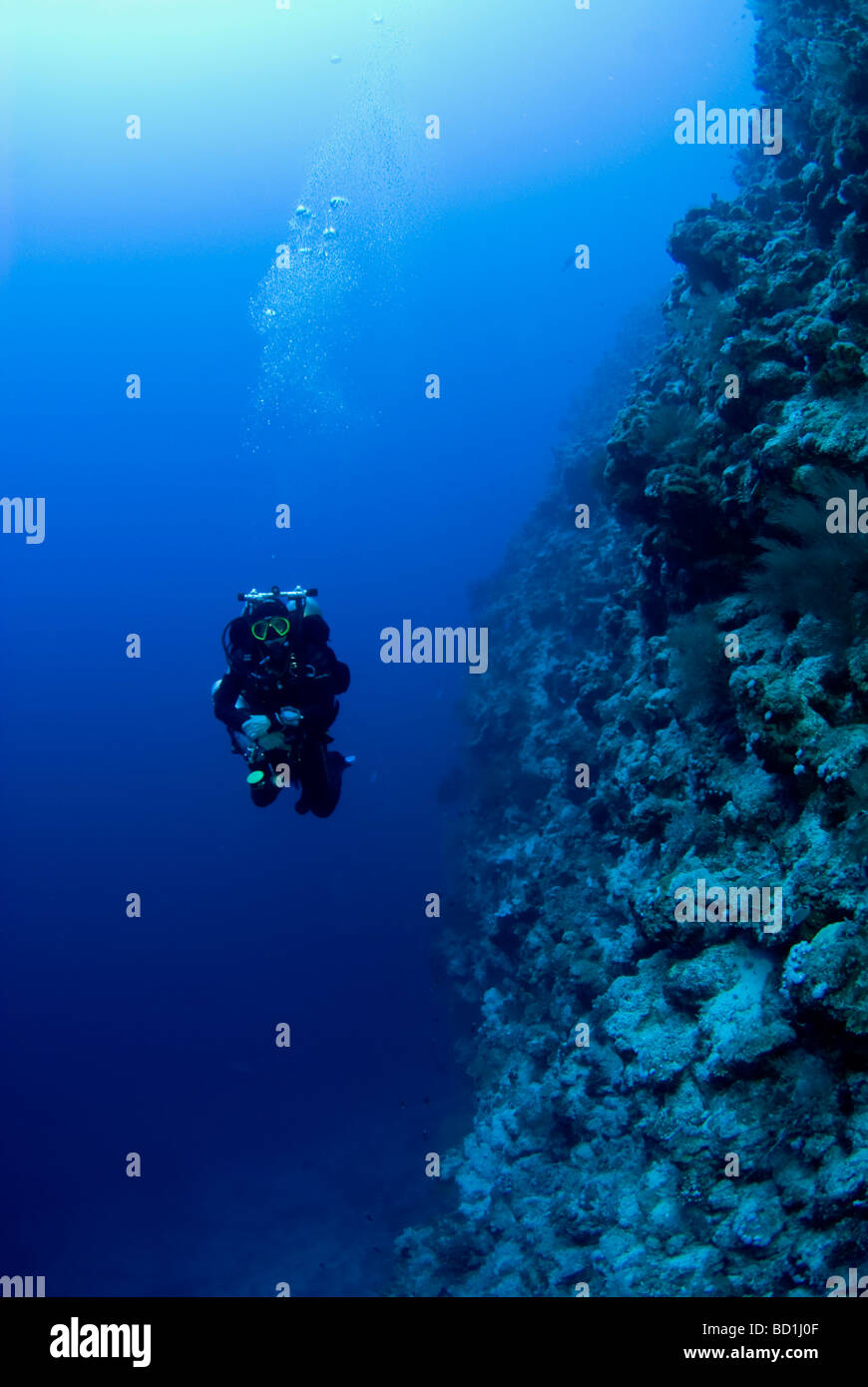 Deep diver in Red Sea Stock Photo
