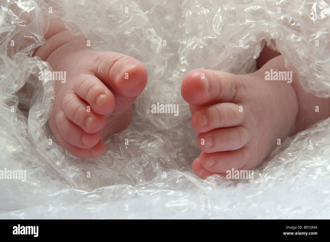 Baby Feet wrapped up in Bubble Wrap Stock Photo: 25237530 - Alamy