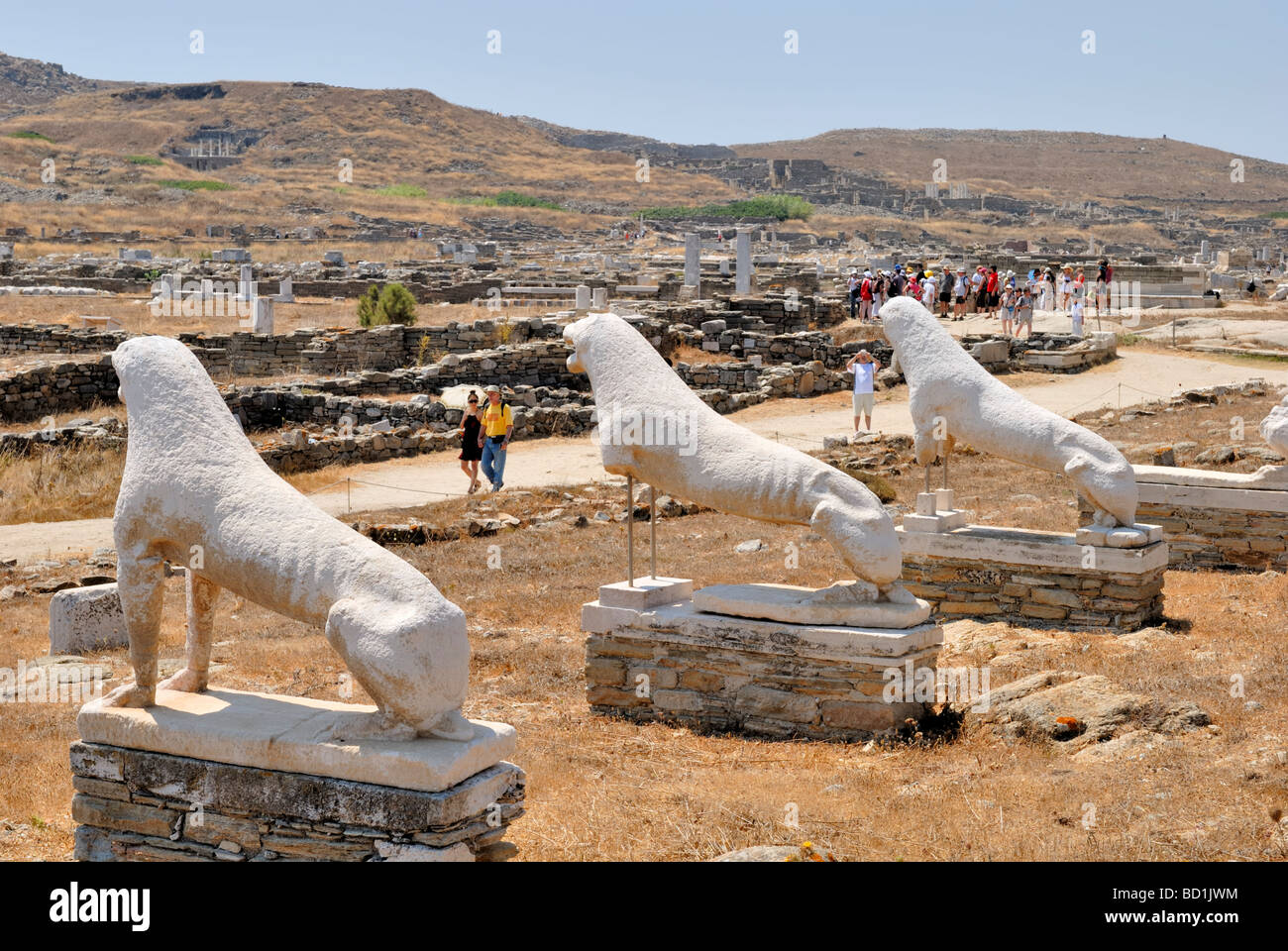 The famous Terrace of the Lions. These marble lions were offerings from ...