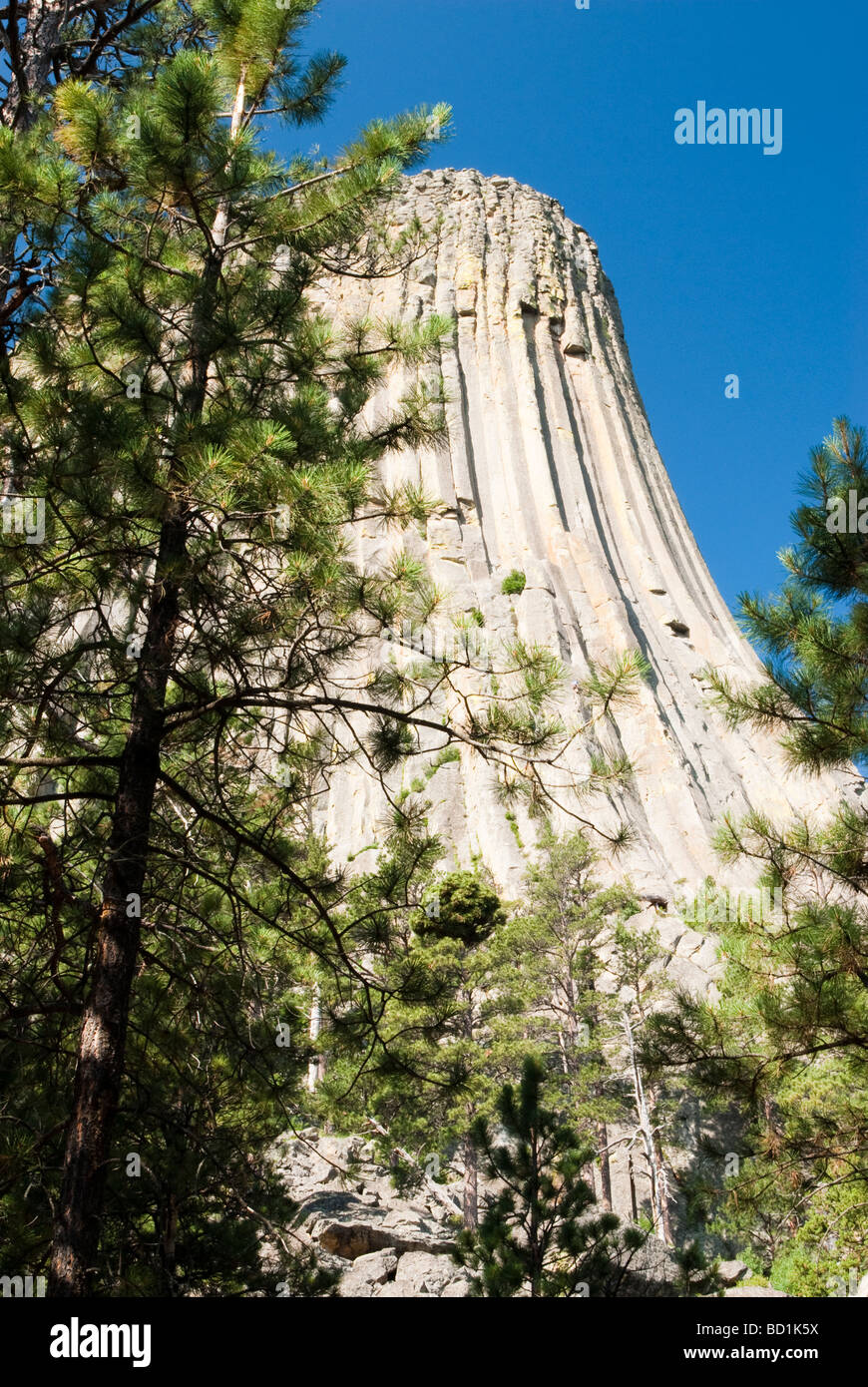 View of Devils Tower in Wyoming Stock Photo