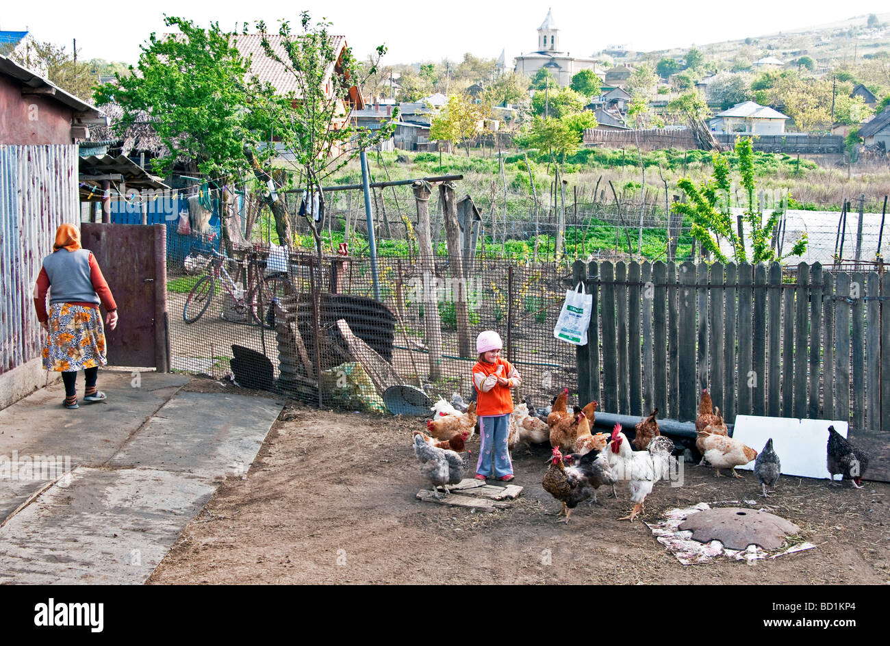 Romanian girl with family's chickens on farm in Danube Delta near Tulcea Stock Photo