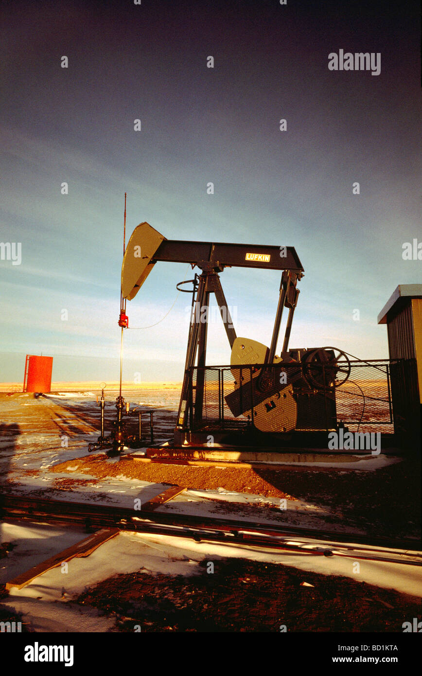 Pump Jack (Oil Donkey) pumping at Oil Well in Oil Field north of Dawson Creek, Northern British Columbia, BC, Canada Stock Photo