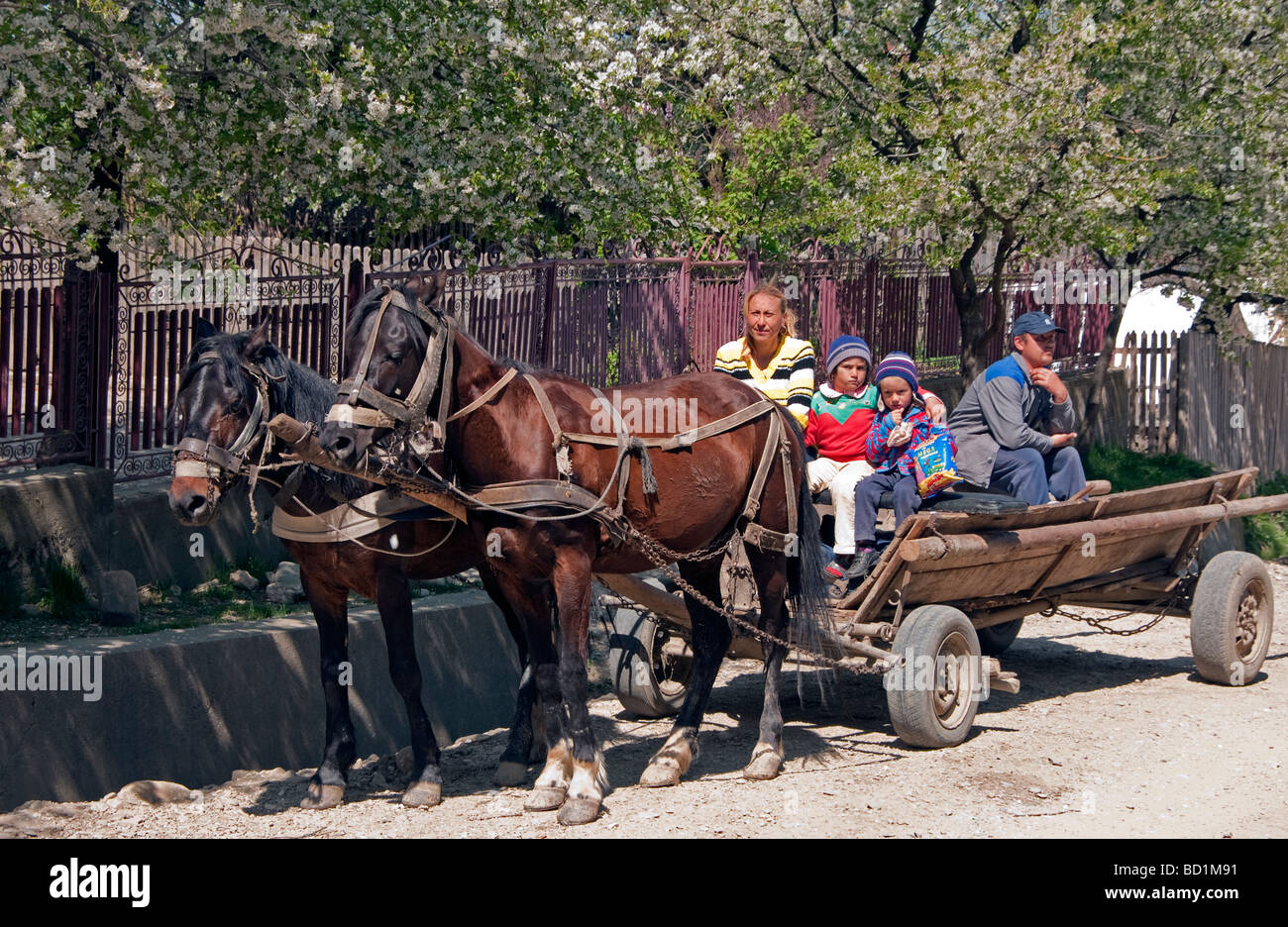 Romanian farm family on horse drawn farm wagon in countryside near Targoviste in Wallachia Stock Photo