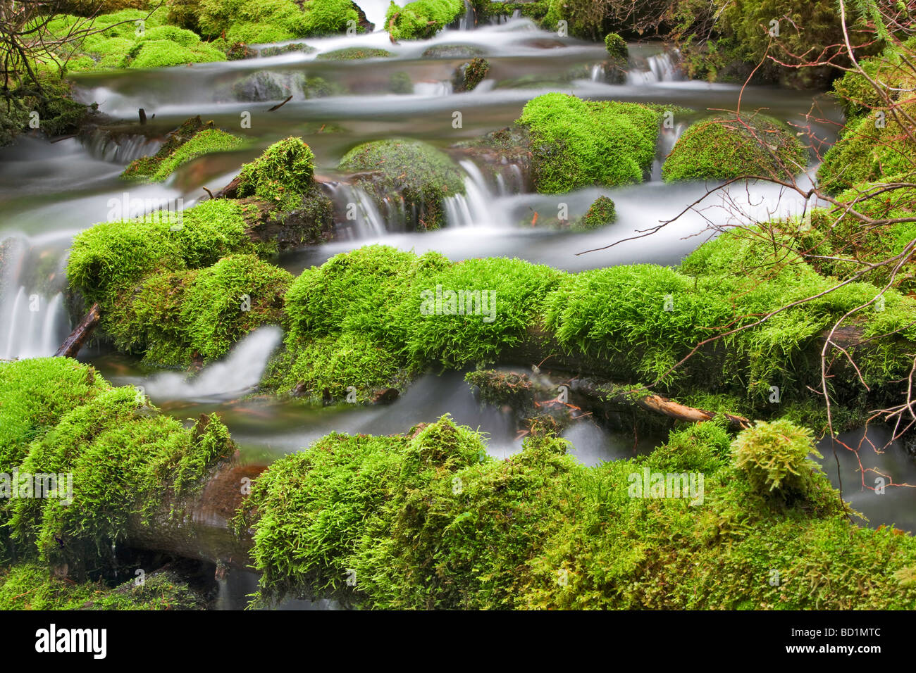 Giffer Rocks Big Spring Creek with mossy rocks and waterfalls Gifford Pinchot ...