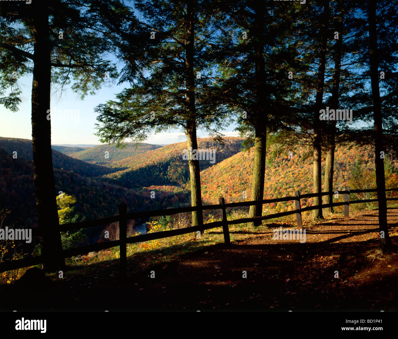 Autumn view of Loyalsock Creek from Canyon Vista Overlook Worlds End