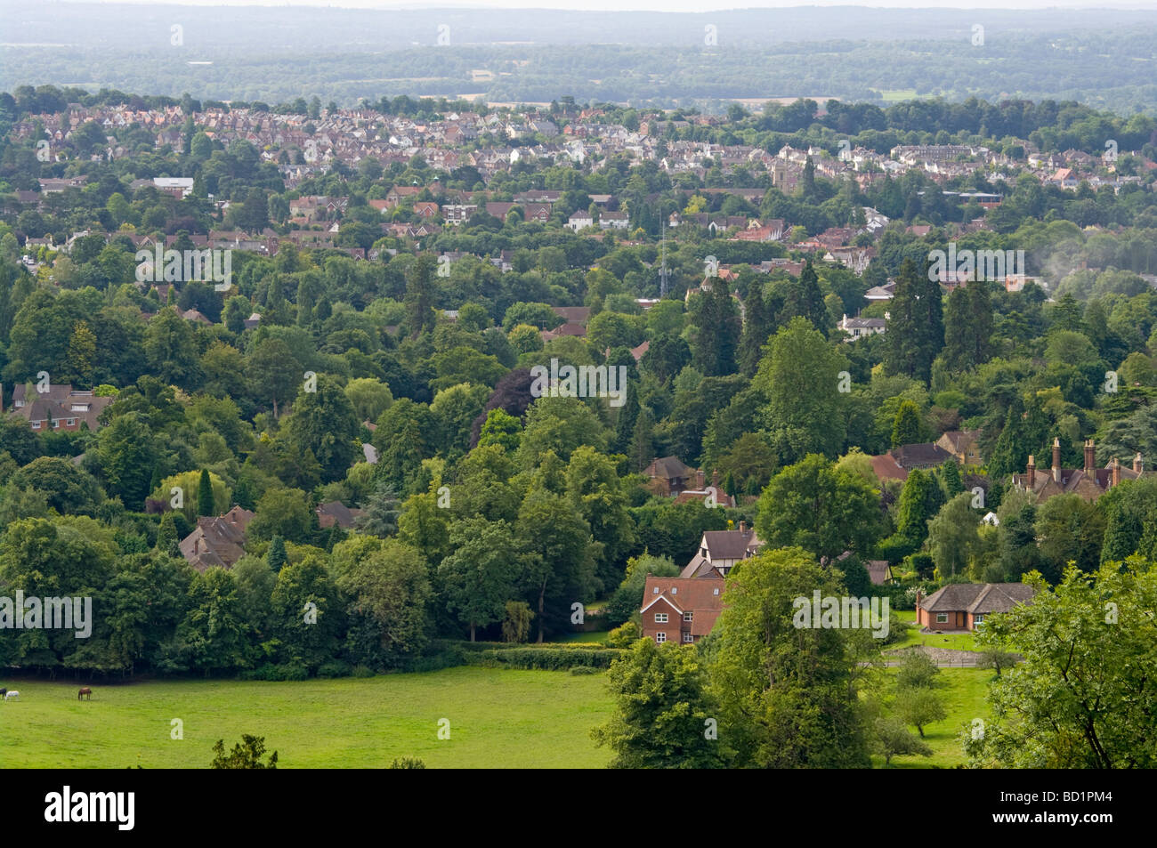 The Town Of Reigate Surrey England As Seen from Reigate Hill Stock