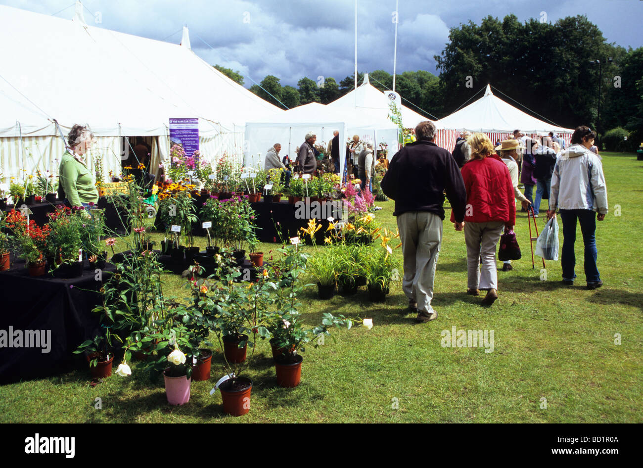 Congleton Garden Festival Held In Congleton Park Stock Photo
