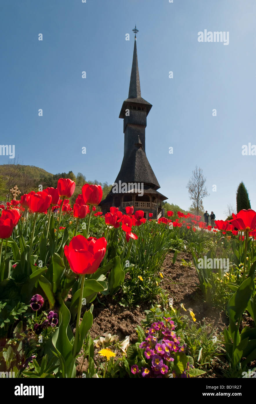 Romania's Barsana Monastery complex with wooden church steeple in spring, Maramures County of northern Transylvania Stock Photo