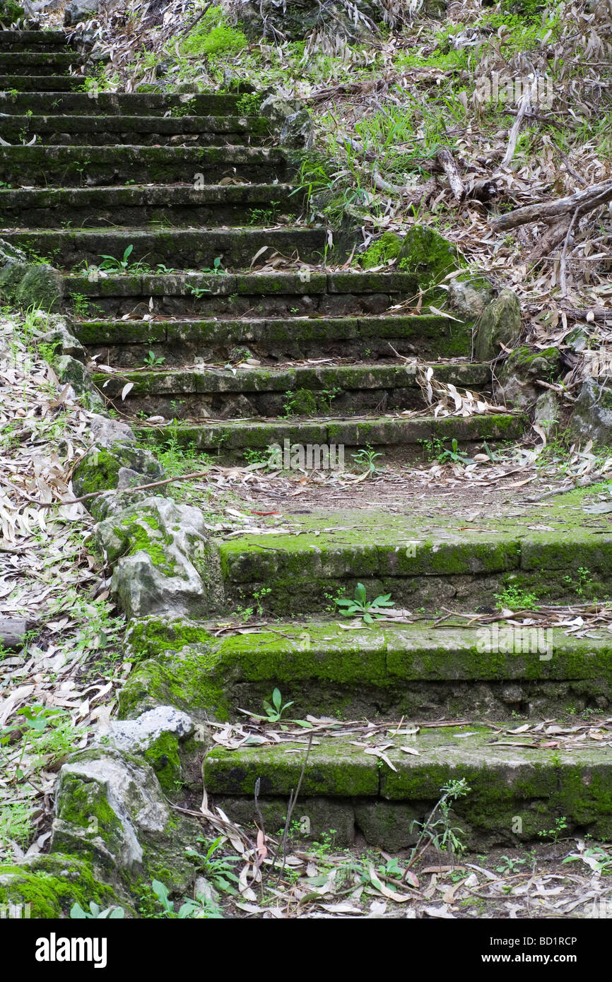 Step Moss Stock Photos & Step Moss Stock Images - Alamy