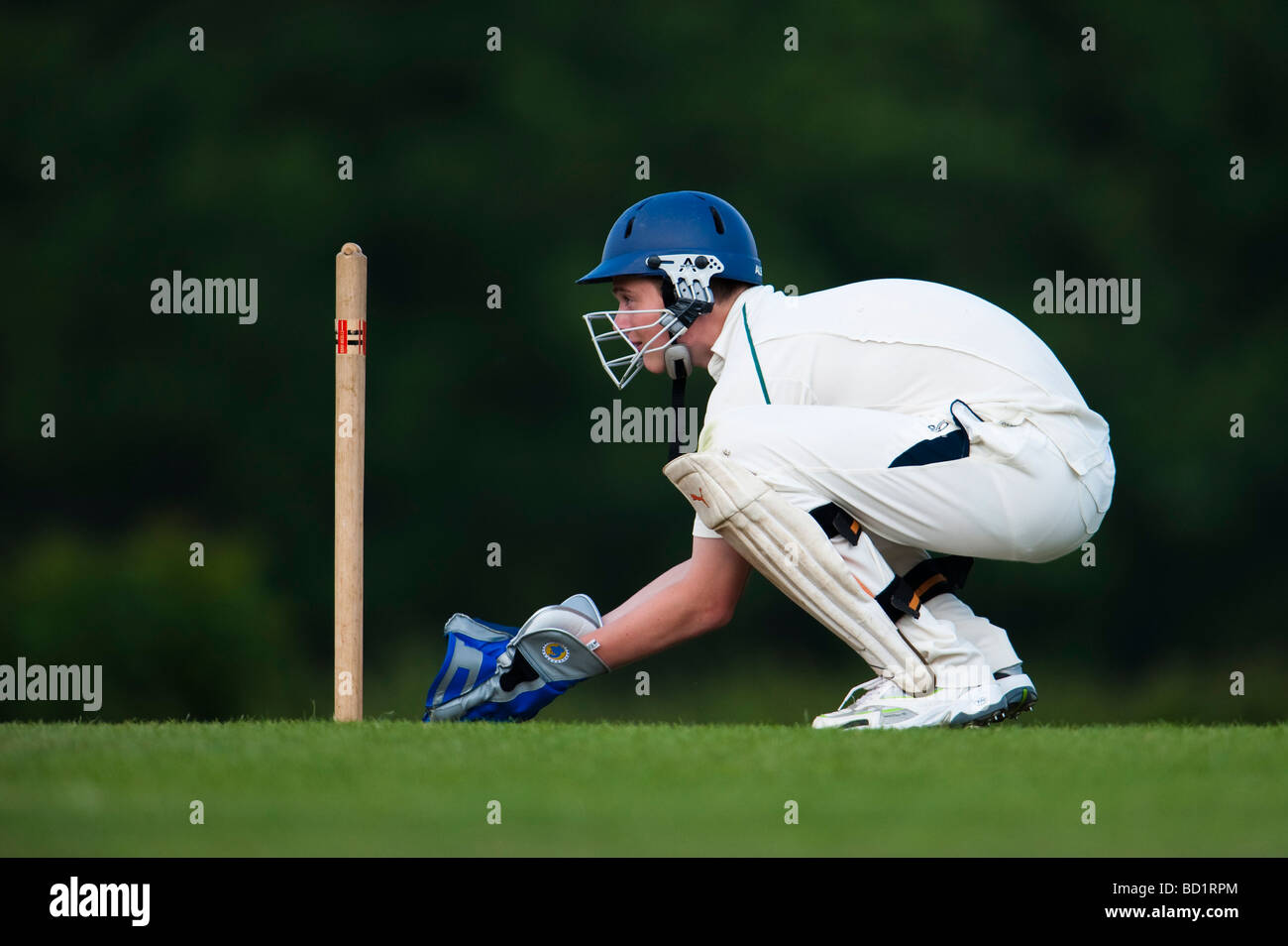 Wicket keeper in position behind stumps waiting for delivery Stock Photo -  Alamy
