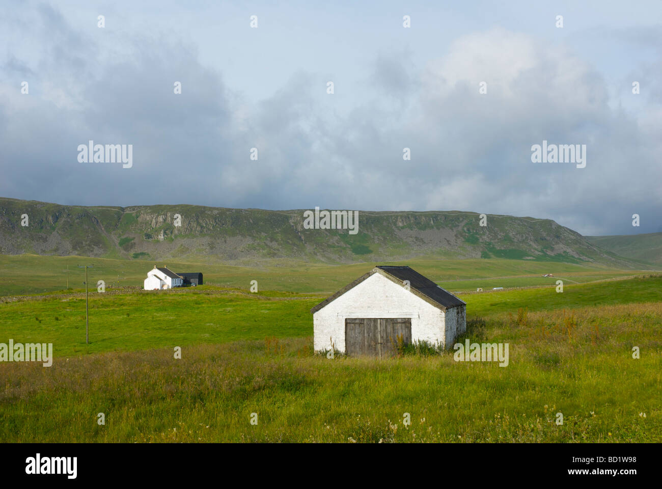 Traditional farmhouse and field barn, Upper Teesdale, County Durham, England UK Stock Photo
