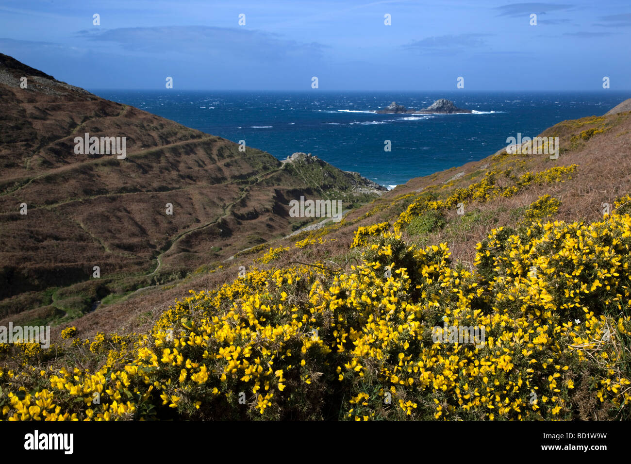 cot valley looking towards the brisons cornwall Stock Photo