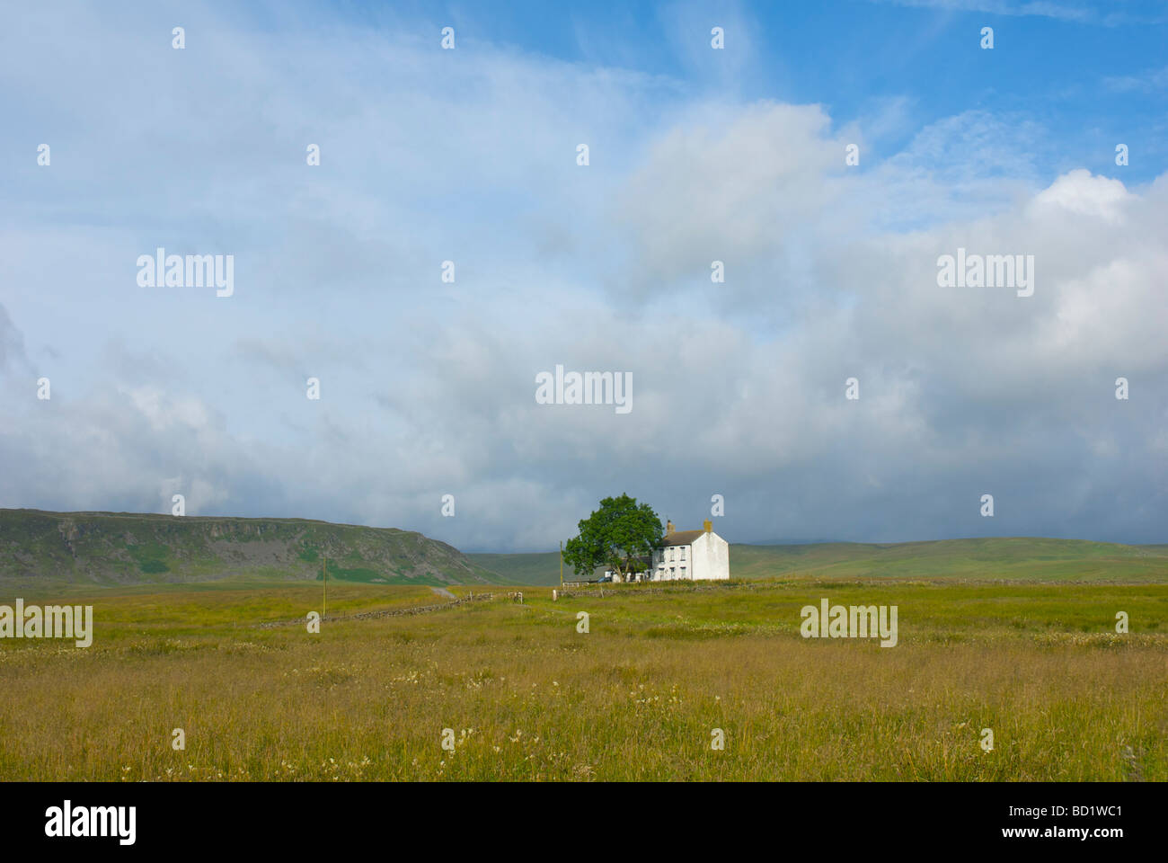 Traditional farmhouse, Upper Teesdale, County Durham, England UK Stock