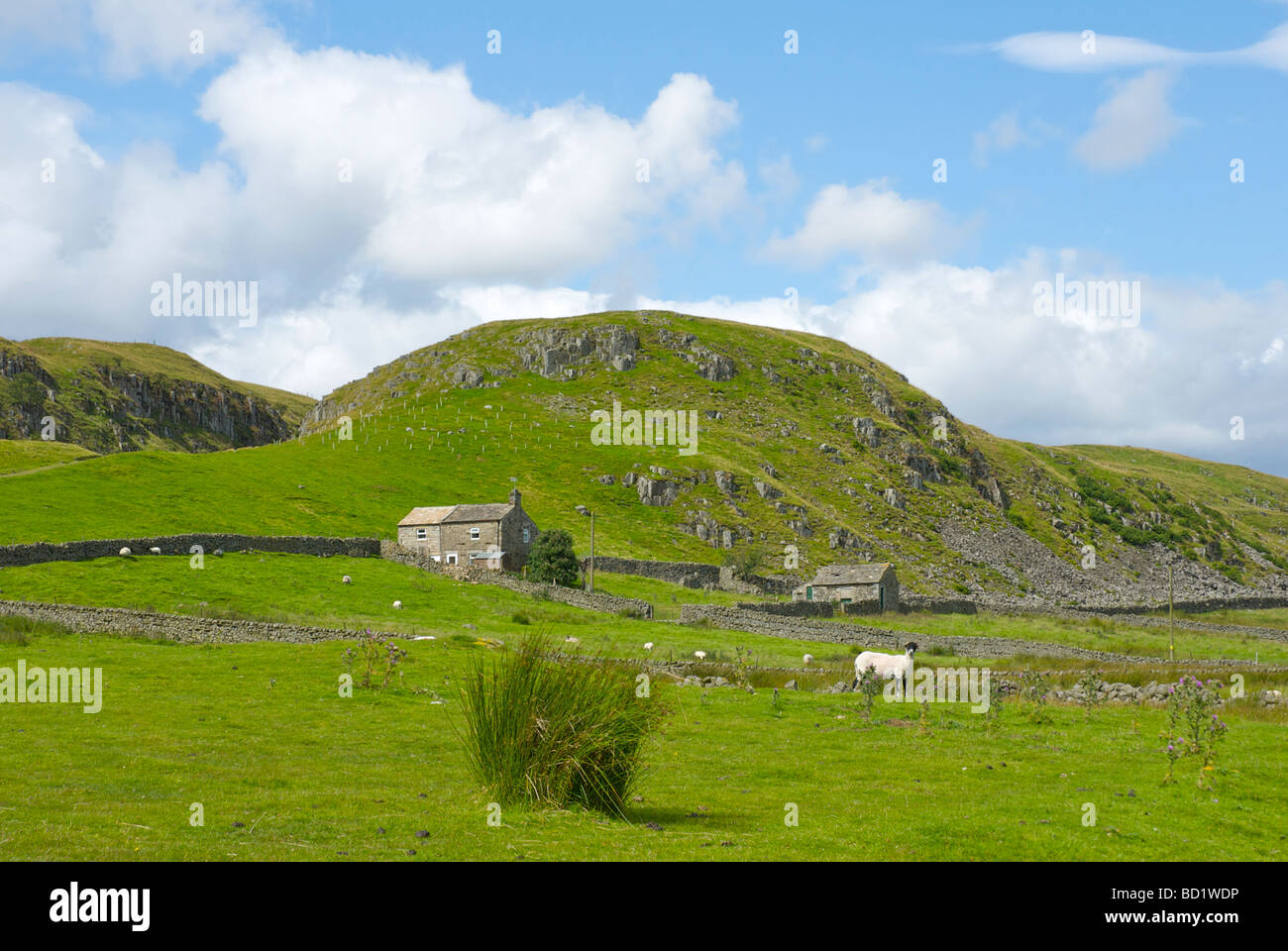 Farmhouse and Holwick Scars, Upper Teesdale, County Durham, England UK Stock Photo