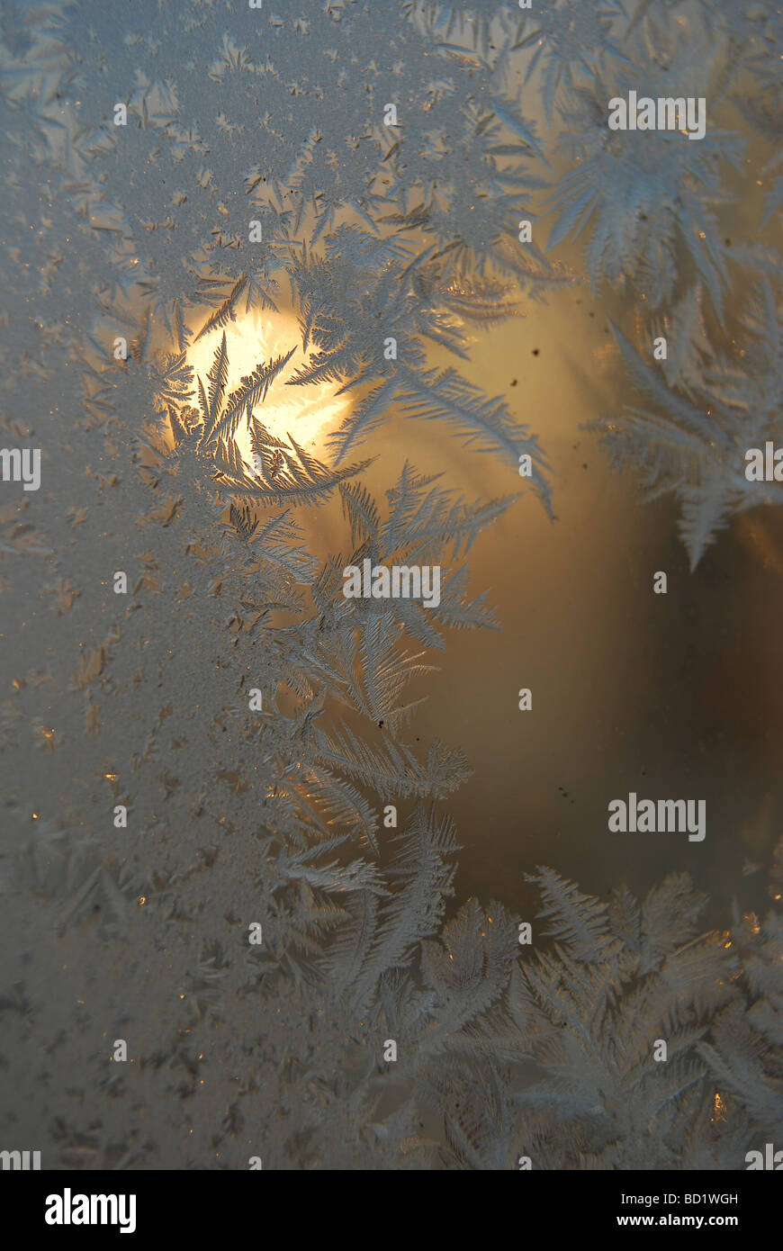 Jack frost on window hi-res stock photography and images - Alamy