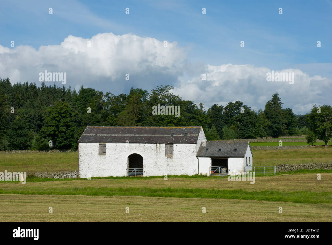 Whitewashed field barn at Newbiggin, Teesdale, County Durham, England