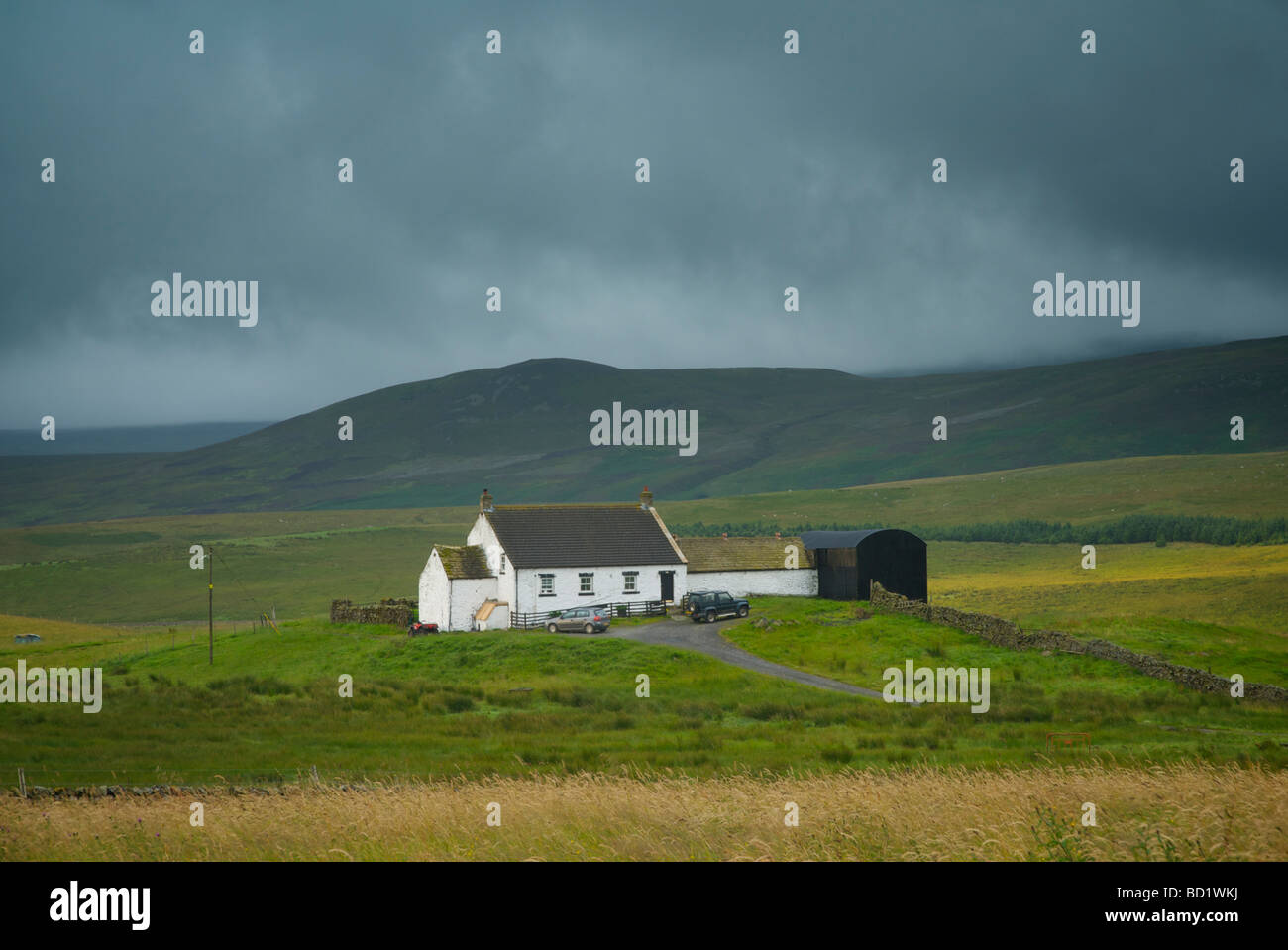 Traditional farmhouse, Upper Teesdale, County Durham, England UK Stock Photo