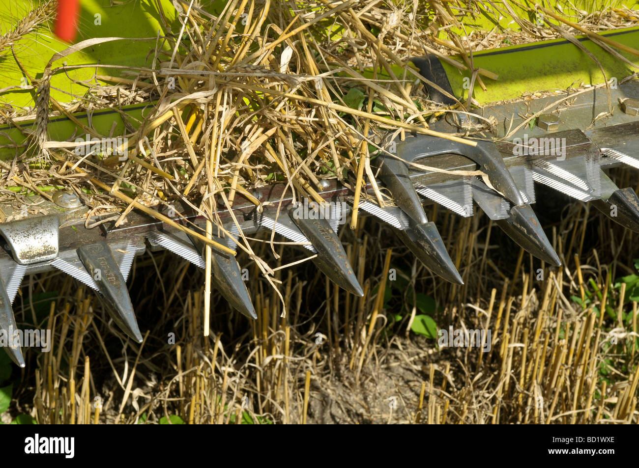 Harvester cutter bar Stock Photo Alamy