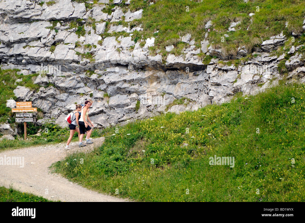 Three women hikers walking in the French Alps in summer Stock Photo - Alamy