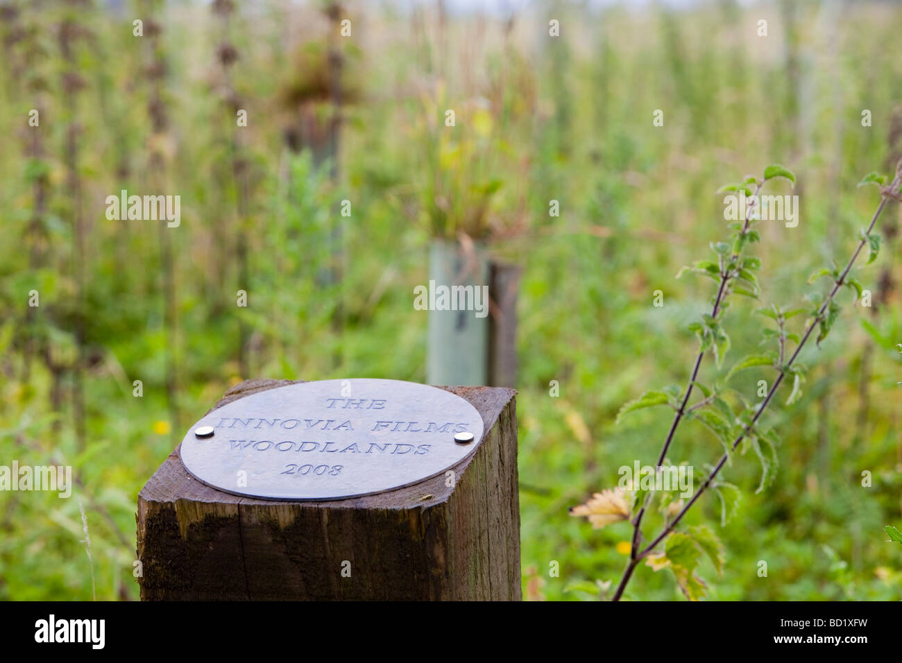 Tree planting plaque hires stock photography and images Alamy