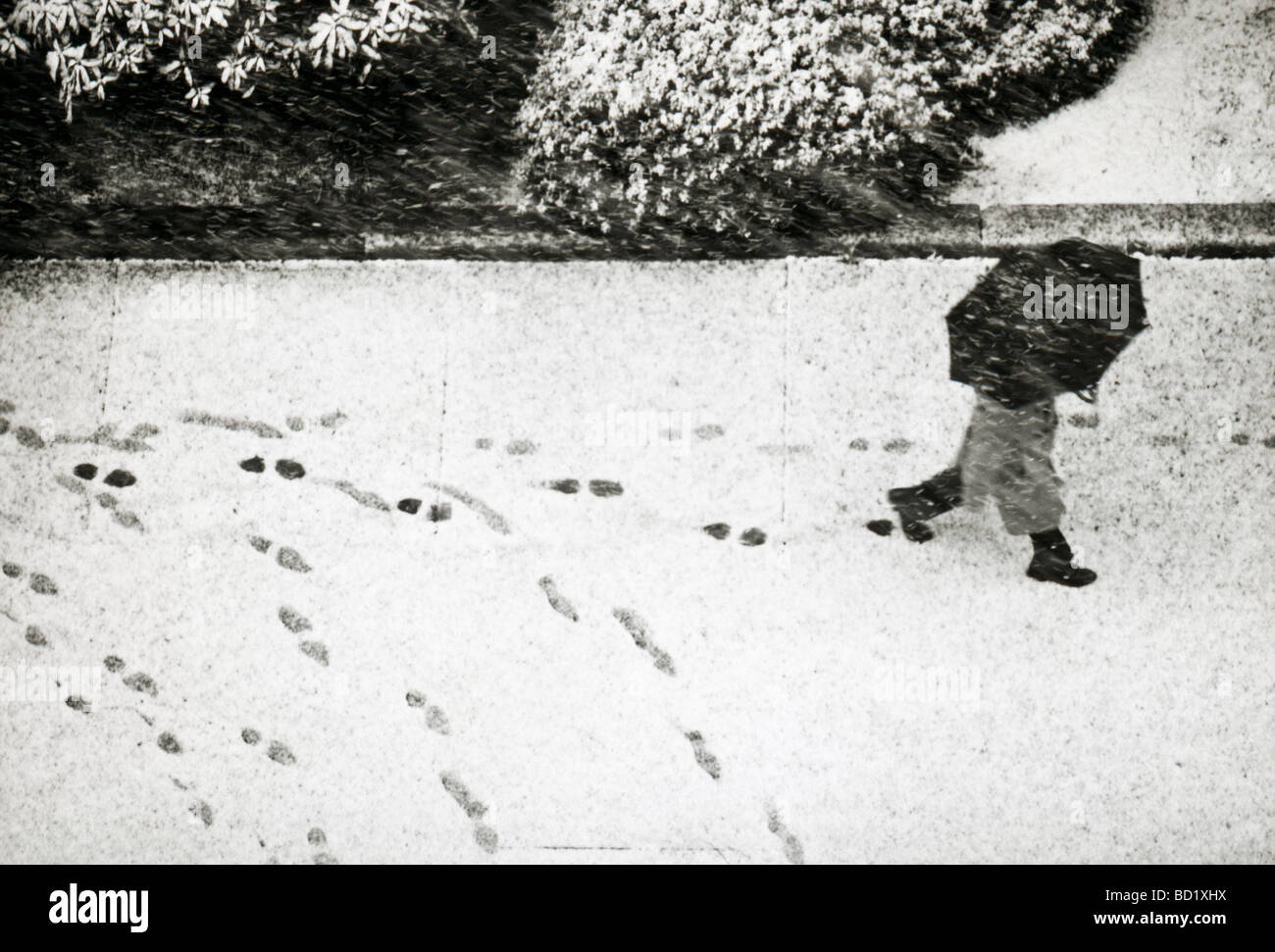 High angle view of pedestrian with umbrella walking on snowy day with
