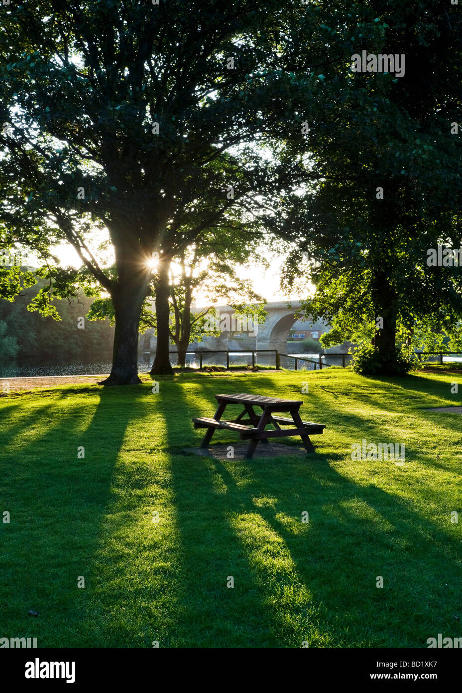 Picnic table and bench on the bank of the River Tyne at Tyne Green backlit by early morning sunshine, Hexham, Northumberland Stock Photo
