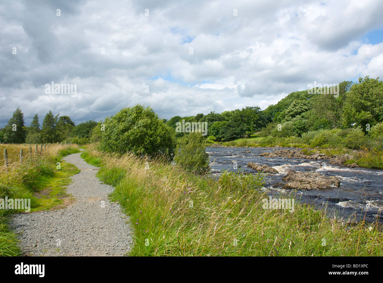 River Tees, Upper Teesdale, County Durham, England UK Stock Photo