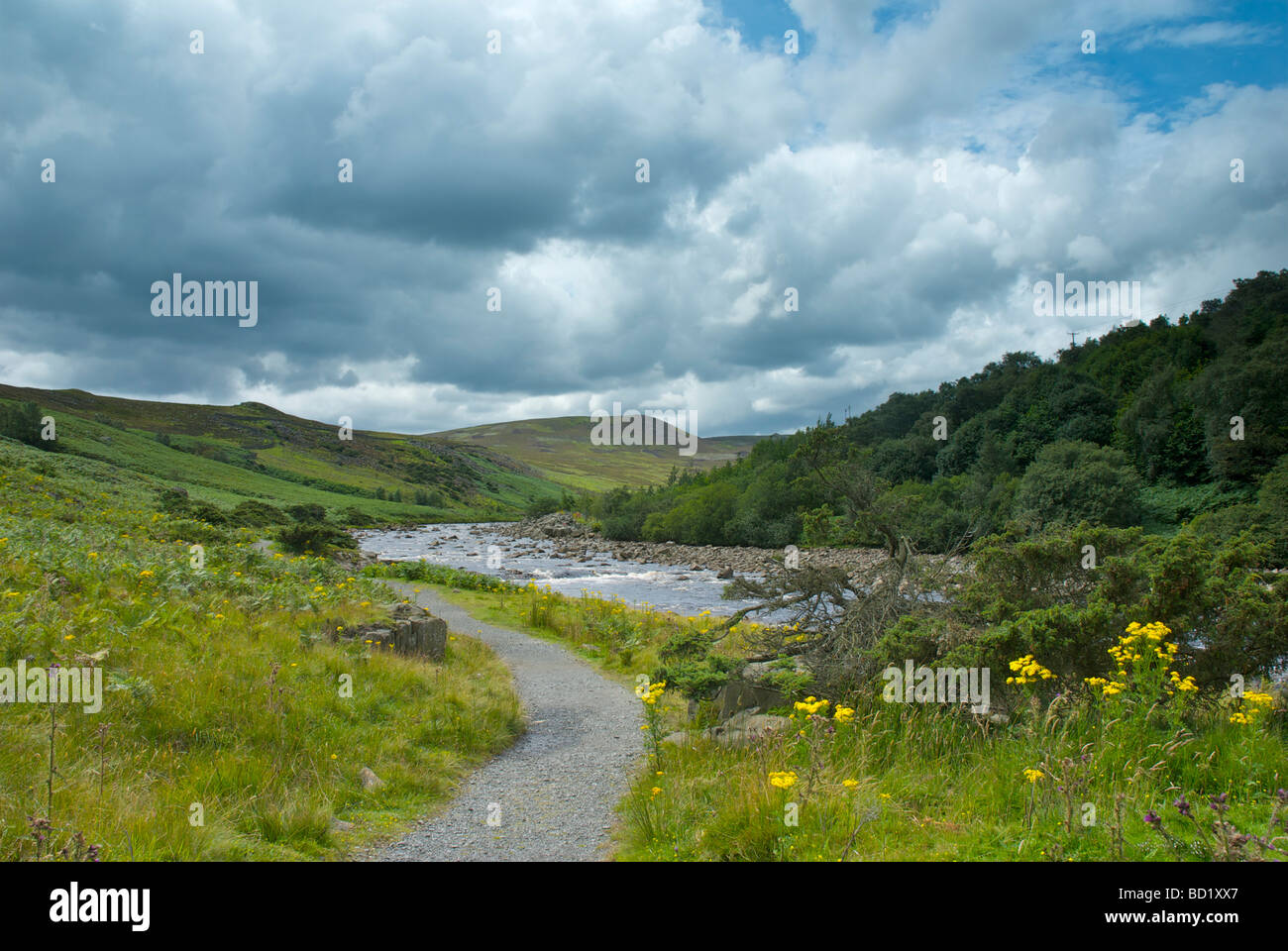 River Tees, Upper Teesdale, County Durham, England UK Stock Photo