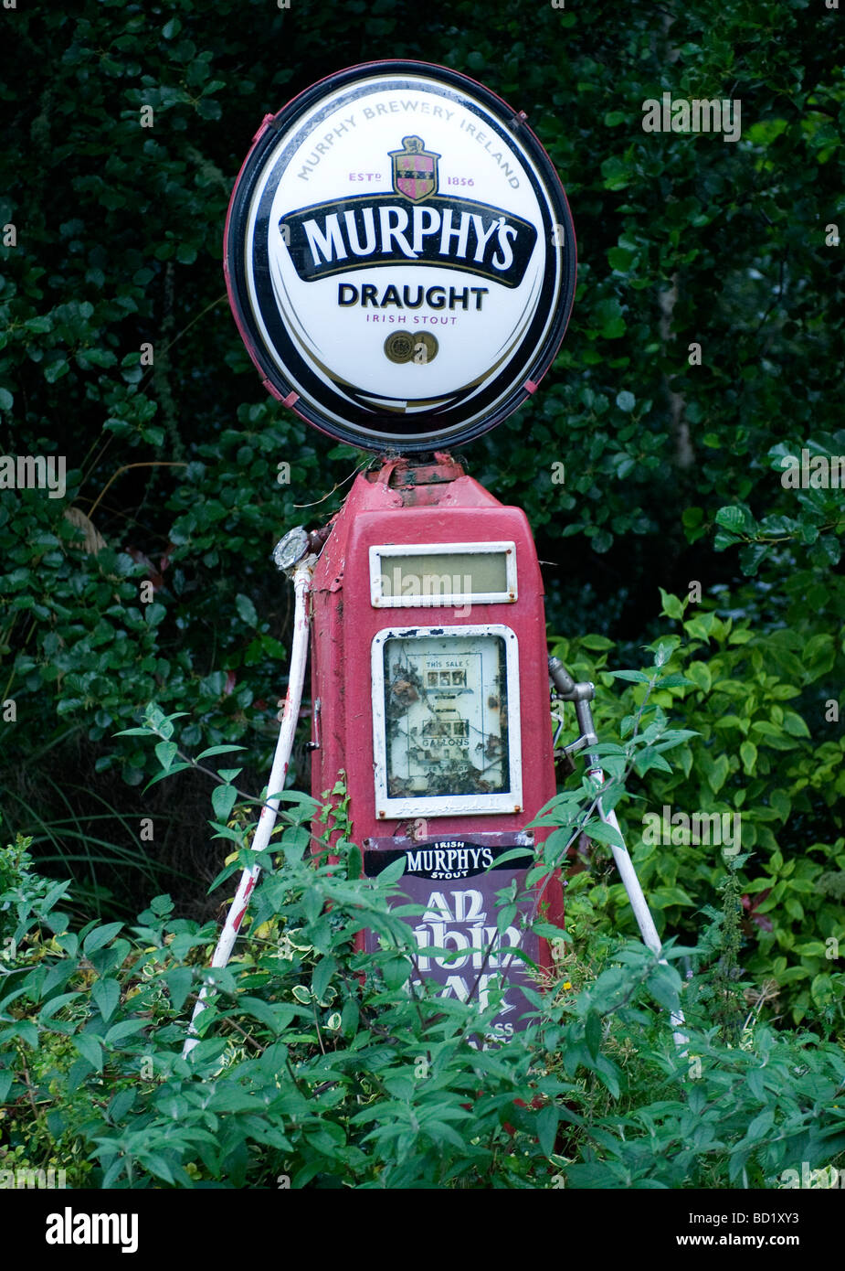 Stout on a pump, Laragh, Beara Peninsula, County Kerry, Ireland. Stock Photo