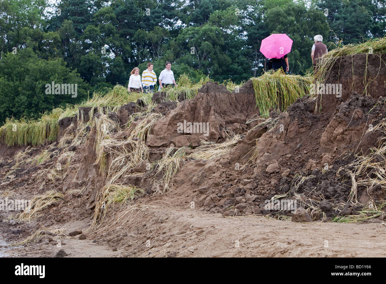 The Durham Canyon caused by flooding that washed away thousands of tons of soil, Durham, UK. Stock Photo