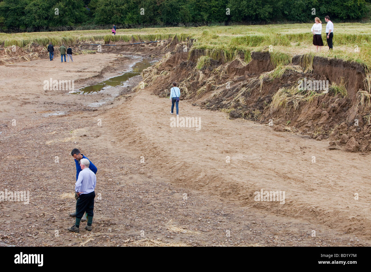 The Durham Canyon caused by flooding that washed away thousands of tons of soil, Durham, UK. Stock Photo